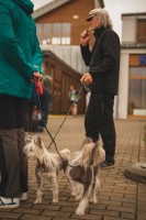 VI Giżyckie Dni Oldtimerów  - 2017 autor: Joanna Orłowska