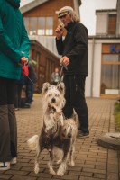 VI Giżyckie Dni Oldtimerów  - 2017 autor: Joanna Orłowska:zdj IMG_9047