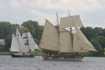 VI Biesiada Oldtimerów - RYN 2009:zdj 010