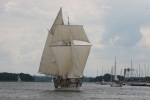 VI Biesiada Oldtimerów - RYN 2009:zdj 124