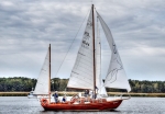 S/Y JASNA CIASNA:zdj 03_z_regat_3.jpg