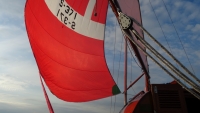 S/Y PINGUINO:zdj k-DSC03576.jpg